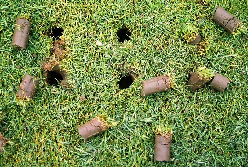 Close-up of a green lawn after core aeration, showing soil plugs scattered across the turf with small holes visible in the grass