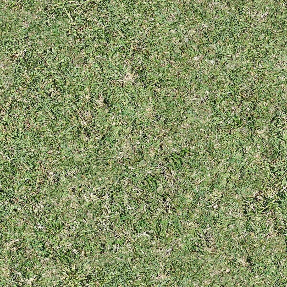 A freshly mowed green lawn with clean mowing lines