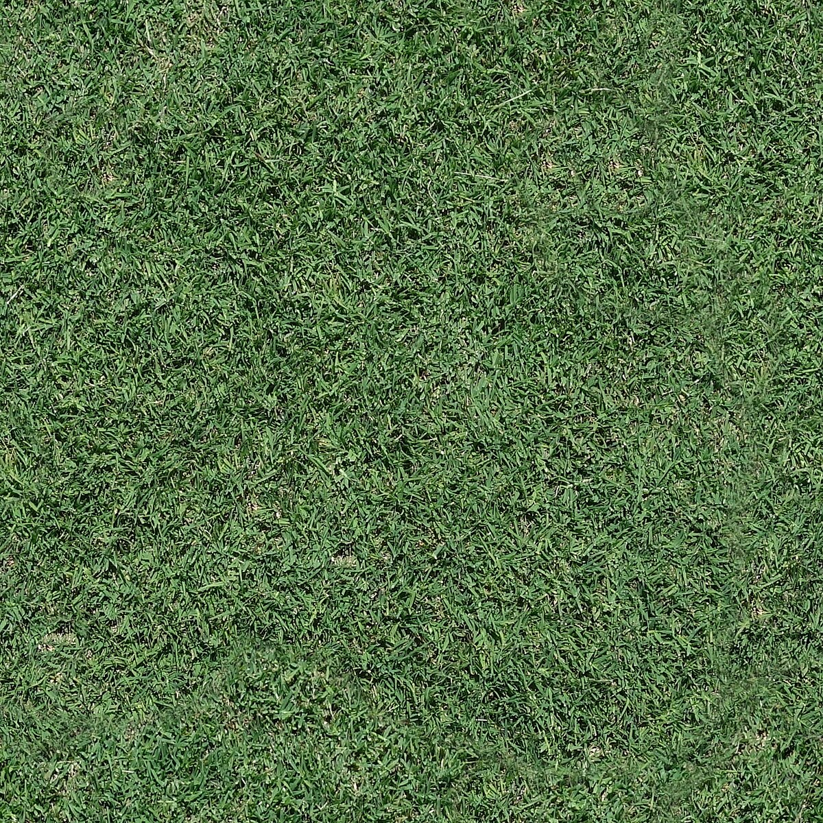 A lush, dark green mowed lawn showing healthy turf