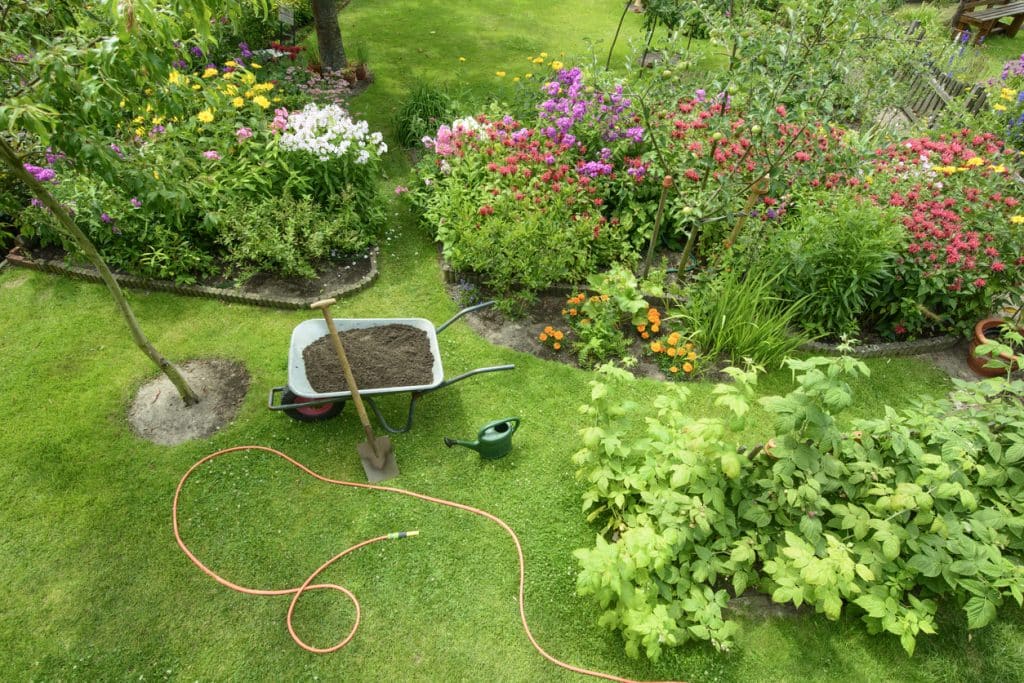 A thick, healthy green lawn in a residential yard — the kind of result every homeowner wants