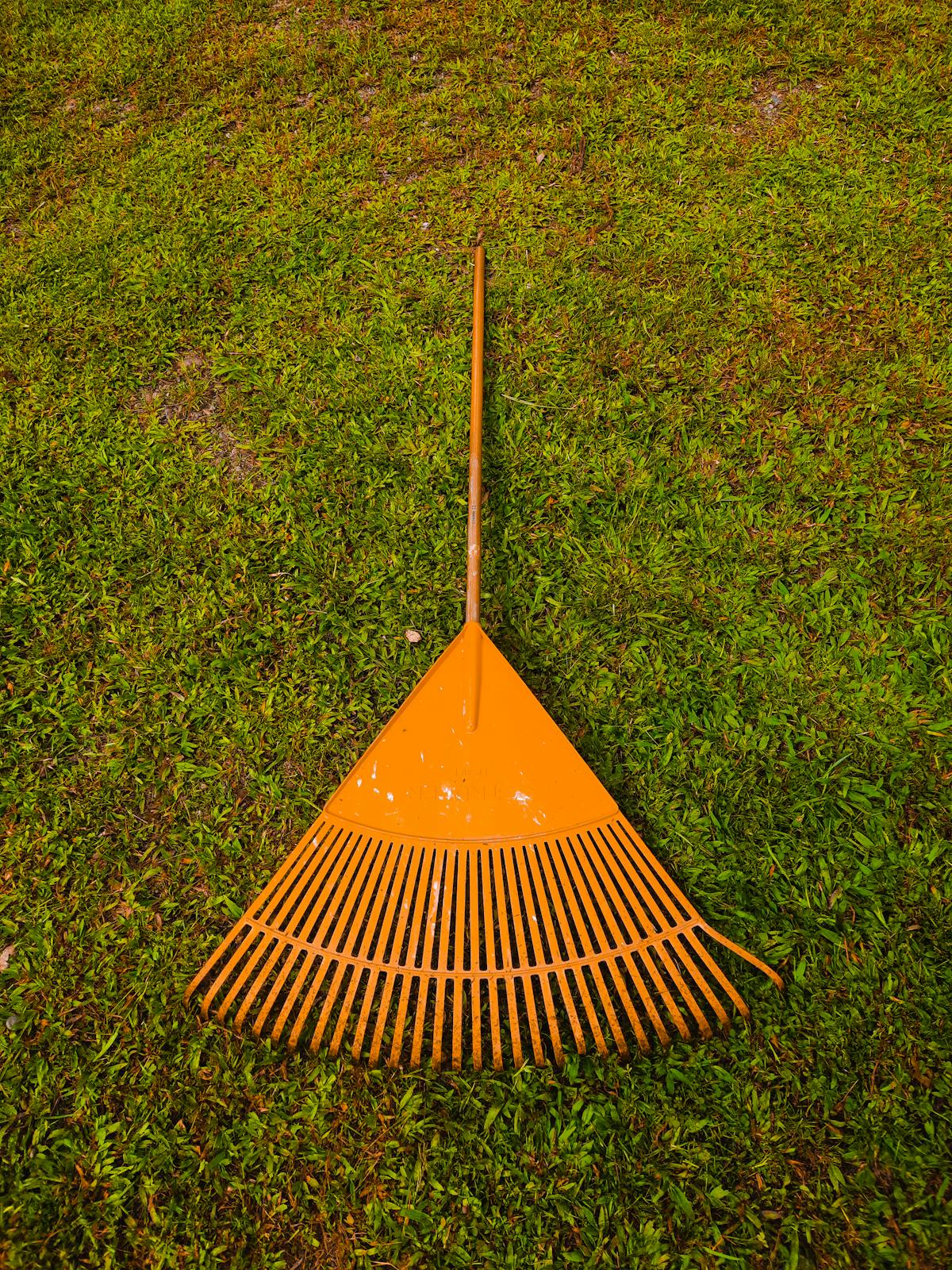 A rake clearing leaves and debris from a green lawn in early spring