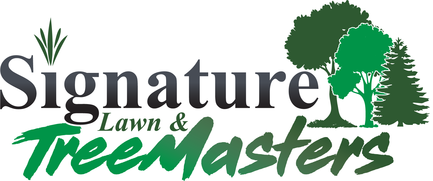 Signature Lawn & Treemasters